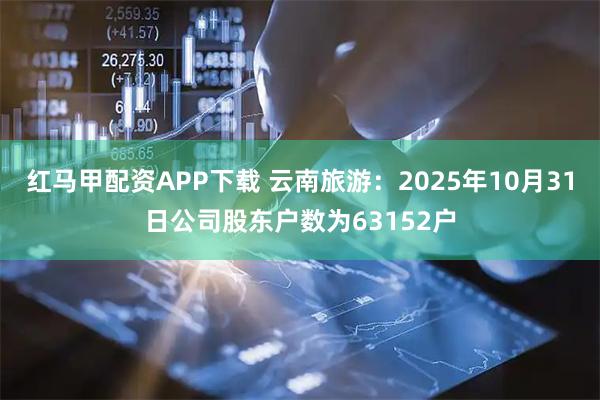 红马甲配资APP下载 云南旅游：2025年10月31日公司股东户数为63152户