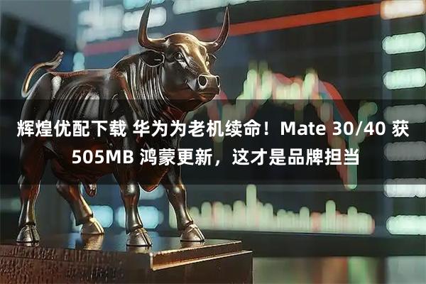 辉煌优配下载 华为为老机续命！Mate 30/40 获 505MB 鸿蒙更新，这才是品牌担当
